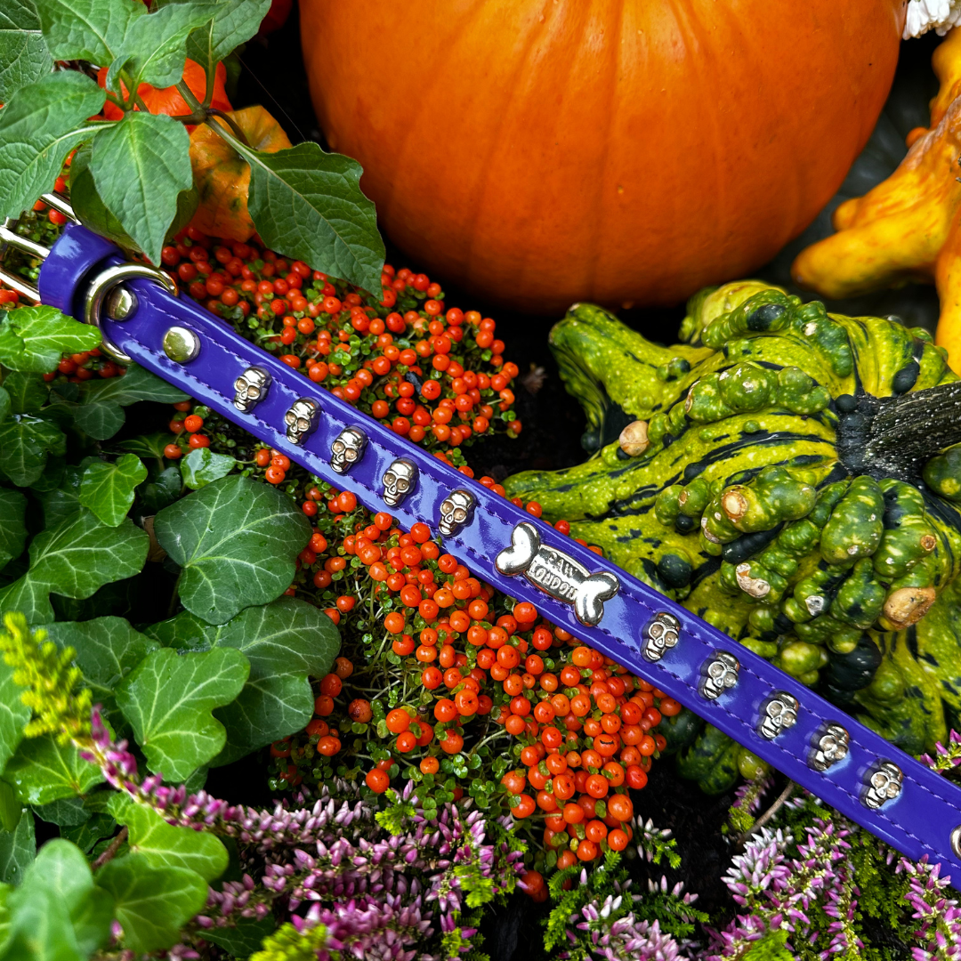 Halloween Skull Purple Dog Collar 🎃 - PAW LONDON