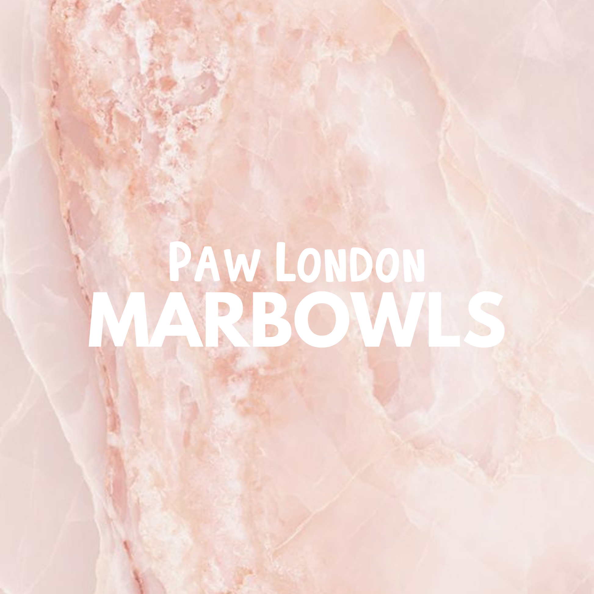 Marbowl Dog Food Bowl | Peony 🥡 - PAW LONDON