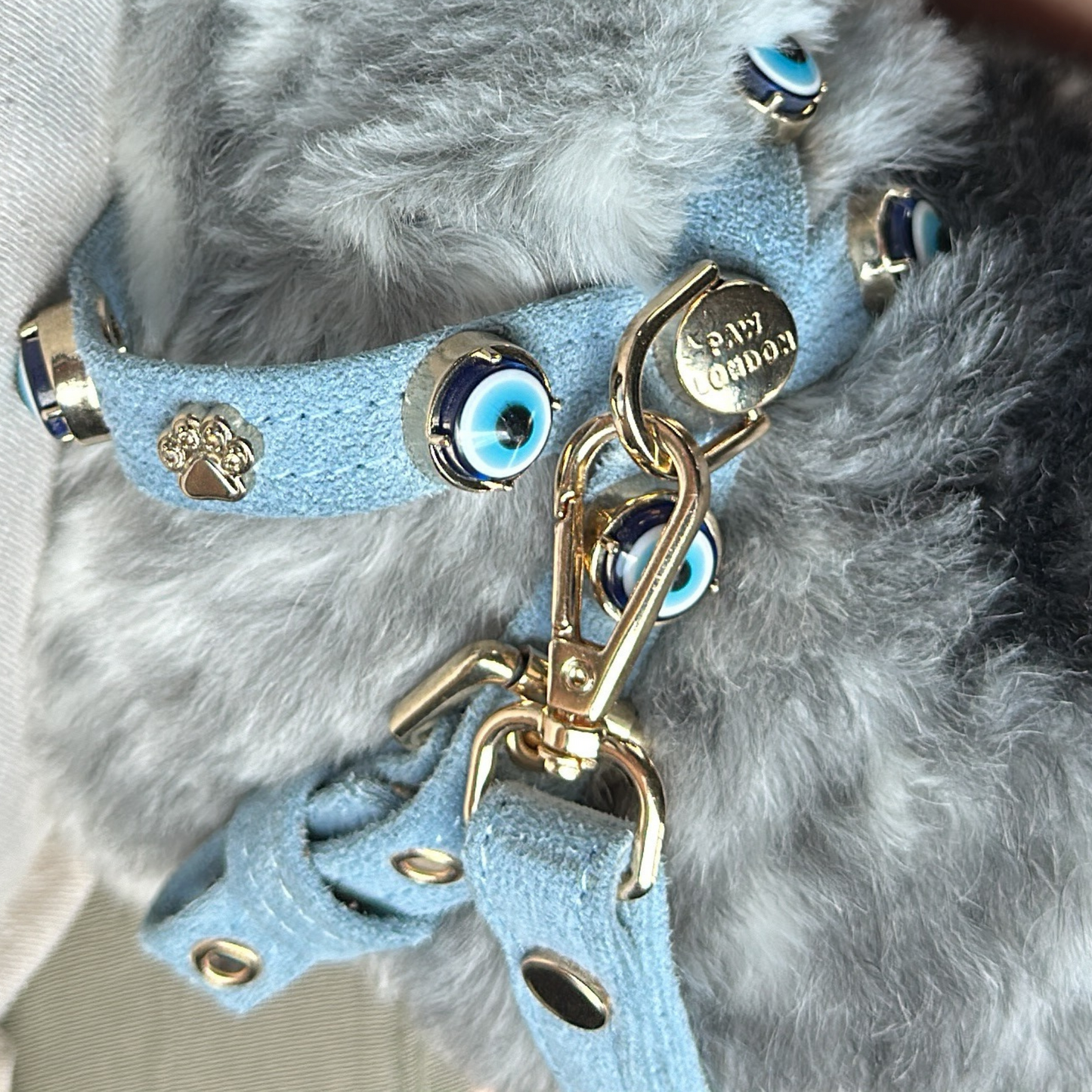 Azure Suede Evil Eye Dog Harness