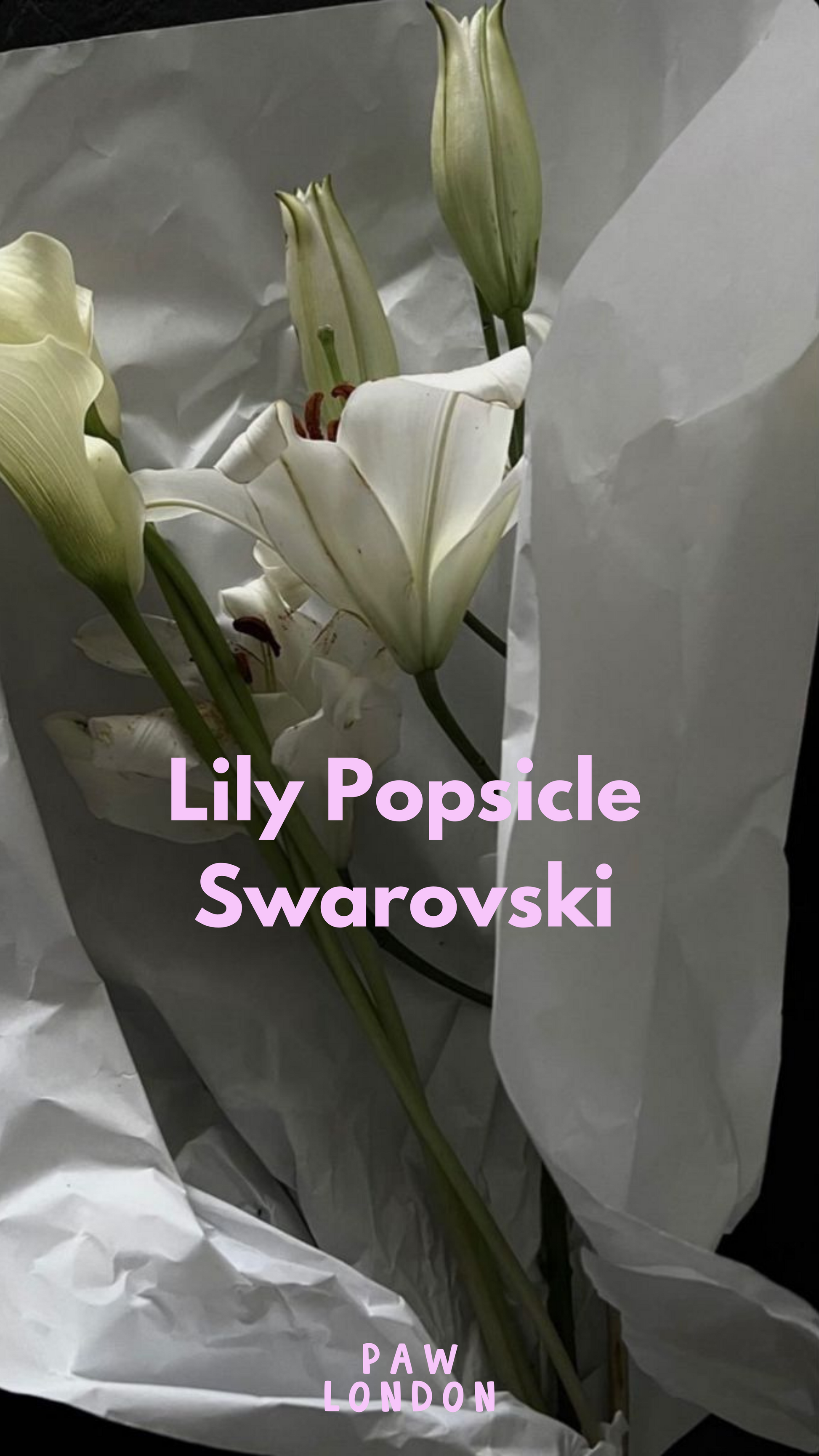 Lily Swarovski Glossy White Dog Harness PAW LONDON