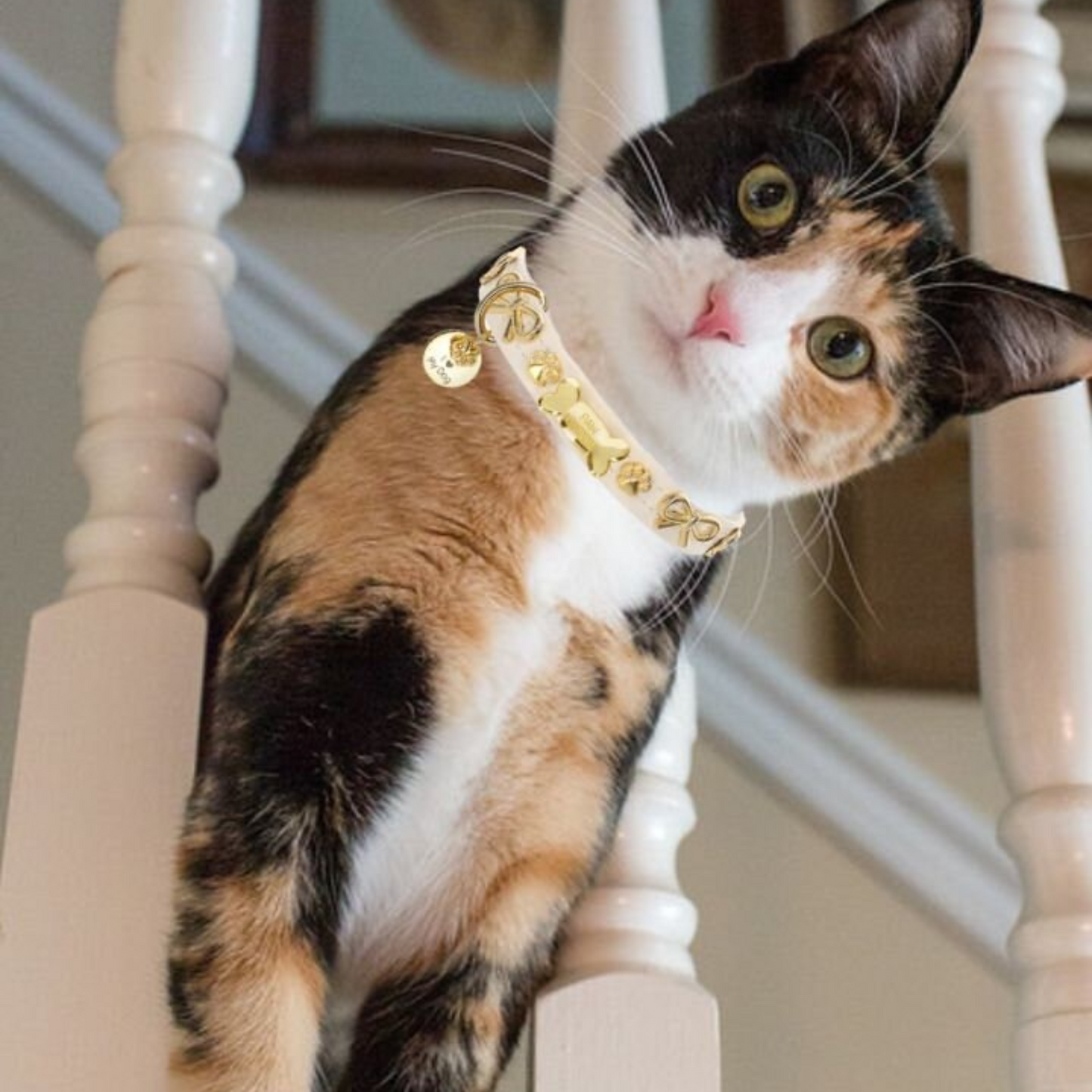 a calico cat with a gold collar standing on a stair rail