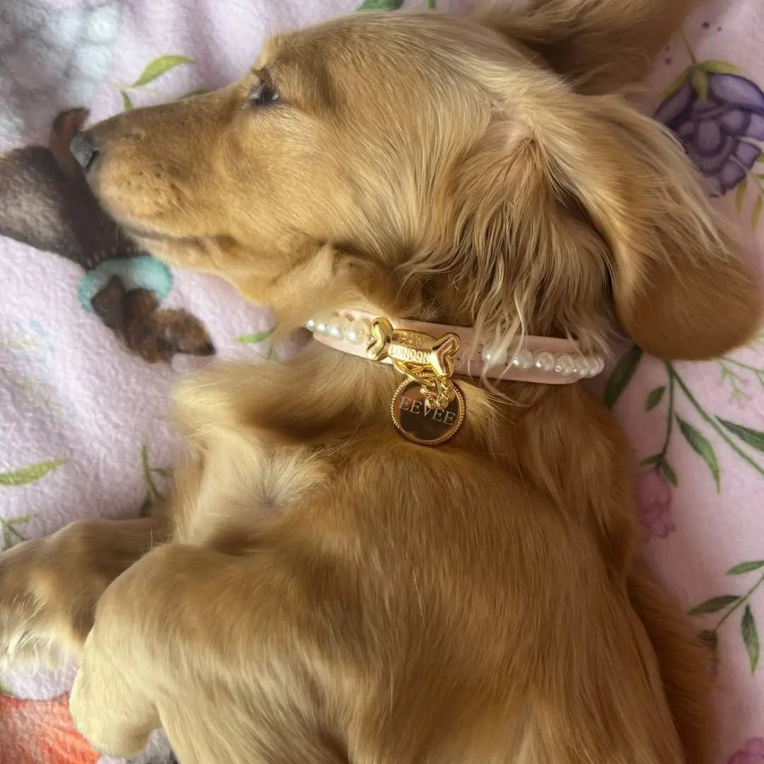 dog is lying with our comfortable pink collar with pearls