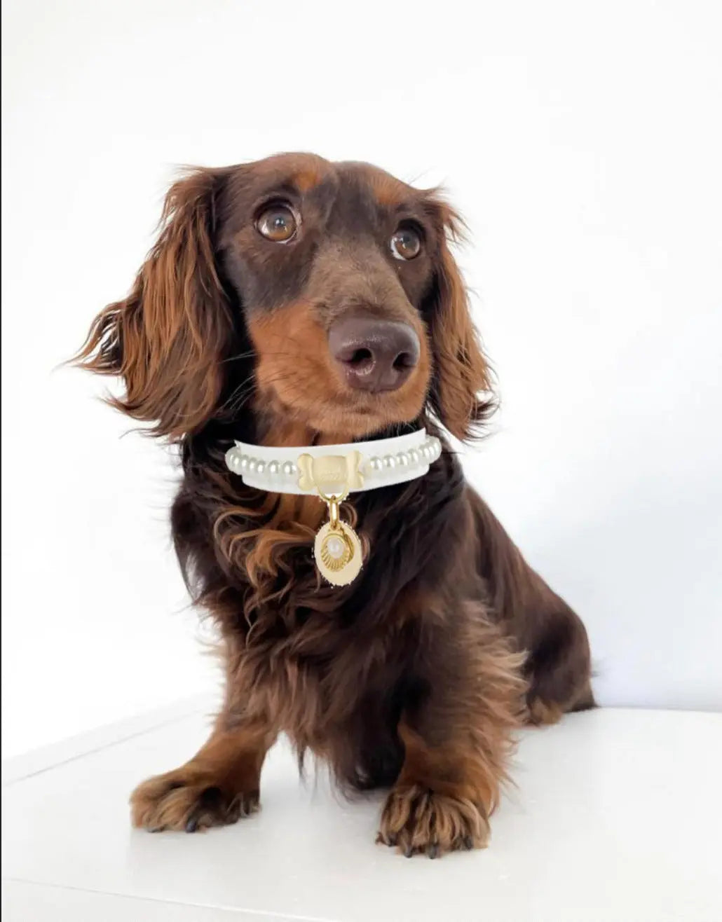 Diana Pearl Dog Collar White PAW LONDON